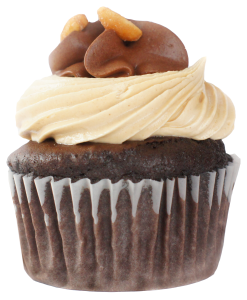 transparent cupcake photo